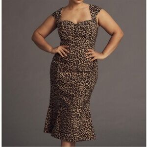 Anthropologie Cecily Fit and Flare Dress in Cheetah size XS